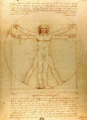 L'uomo vitruviano di Leonardo da Vinci