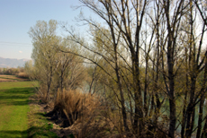  Comarca di Lleida