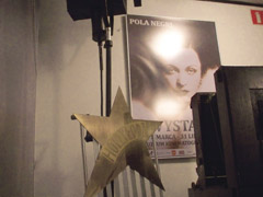Pola Negri fu una delle dive del muto. Primo grande nome del cinema polacco. Lodz è la capitale dell'Otttava Musa e il Museo Nazionale del Cinema ne è il tempio