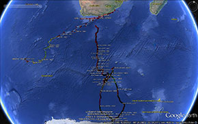 Il viaggio del leone marino