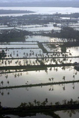 Myanmar Le acque del fiume Irrawaddy