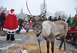 Feste e mercatini natalizi nella religiosa Polonia