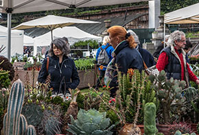 L'esposizione di piante. Foto: Claudio Lepri, Fotoclub Fotoinfuga