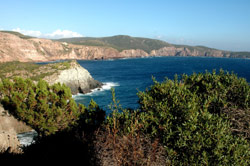 Oasi LIPU di Carloforte in Sardegna (Foto: Luciano Durante)