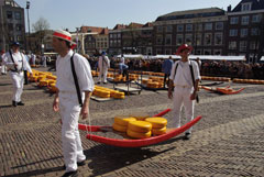 trasportatori di formaggio ad Alkmaar