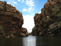 Il laghetto della Ormiston Gorge