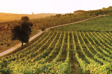 La festa del vino a Radda in Chianti