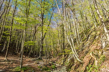 Monti Picentini Parco Regionale dei Monti Picentini