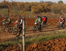 A piedi e in bici da Trieste a Parenzo