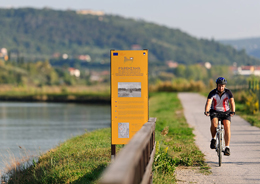 A piedi e in bici da Trieste a Parenzo
