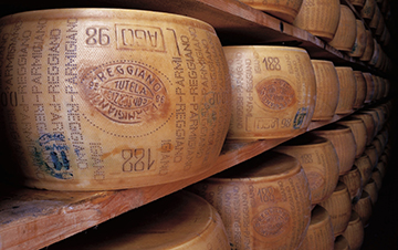 Forme di Parmigiano Reggiano