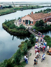 Cicloturisti sul Delta del Po