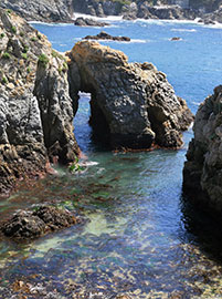 Monterey Point Lobos, lungo il Big Sur