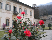 Camelie nella Villa Della Porta Bozzolo a Casalzuigno (VA)