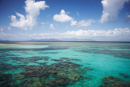 Nuovo sito per il Sunshine State australiano