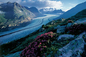 Svizzera Il ghiacciaio dell’Aletsch