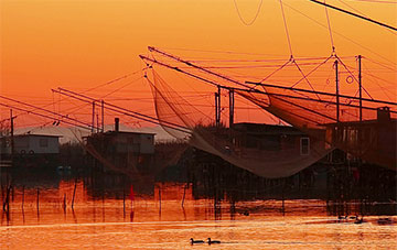 Comacchio tra anguille e "batane"