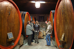 San Martino in cantina 4 San Martino in cantina