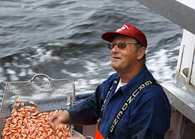Crostacei, l'oro rosso del West svedese 2 Skagenröra Un pescatore all'opera. Photo: Jonas Ingman