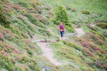 Südtirol_Ultra_Skyrace_2014_PHcredit_Wisthaler