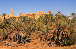 armata L'oasi di Siwa e il tempio di Amon. © Rieger Bertrand