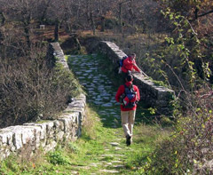 A piedi lungo l'antico tracciato della Via Cassia