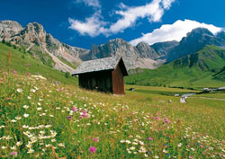 I cinque sensi del Trentino