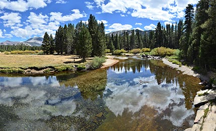 Tuolumne Meadows