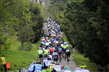 Granfondo Via del Sale di Cervia