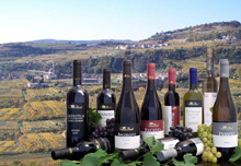 I famosi vini della Valpolicella
