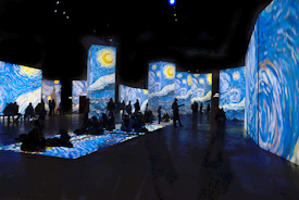 Van Gogh Alive, ultimi giorni per la mostra multimediale