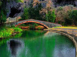 Parco La Versiliana, una foresta in cui immergersi