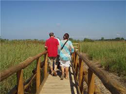 Parco La Versiliana, una foresta in cui immergersi