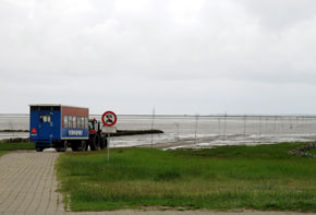 Vichinghi
