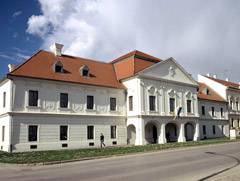 Schegge Balcaniche, Vukovar