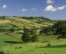 Il paesaggio tipico dello Yorkshire: campi coltivati e colline dolci