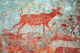 Iscrizioni rupestri nel Matopo National Park