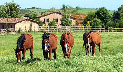 Vacanze in campagna: non più "mordi e fuggi"