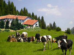 Agriturismo fa rima con estate 4 Agriturismo fa rima con estate