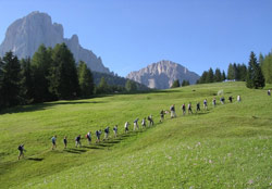 Alpe di Siusi