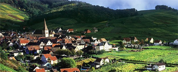 La Strada dei Vini d'Alsazia compie 60 anni 4 Niedermorschwihr (© Zvardon / CRTA)