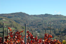 Le colline dell'Alta Langa (Foto: Comunità Montana Alta Langa)