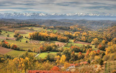 Una veduta del paesaggio nei dintorni di Bossolasco  (Foto: Comunità Montana Alta Langa)