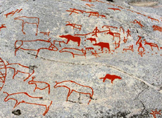 Ad Alta, in Norvegia, sono state trovate oltre trenta incisioni rupestri raffiguranti orsi. Foto di Pekka Kivikäs. Alta Museum