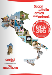 Cani e gatti felici in vacanza e in città