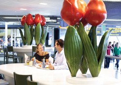Grandi tulipani accolgono i passeggeri all'aeroporto di Schiphol