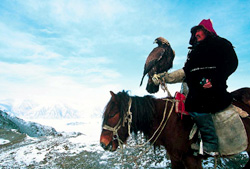 Falconiere mongolo