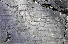 incisioni rupestri Una scena di aratura (Foto: Archeocamuni)