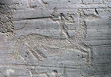 incisioni rupestri Un esempio di incisione rupestre rinvenuta in Val Camonica