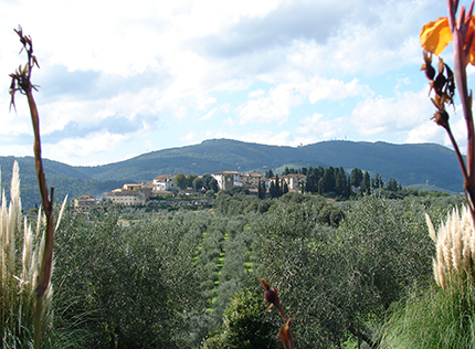 Artimino-Carmignano: paesaggio, storia e vino